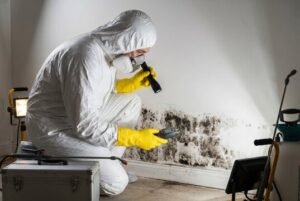 emergency Mold inspection